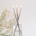 Load image into Gallery viewer, Everlasting Candlesticks