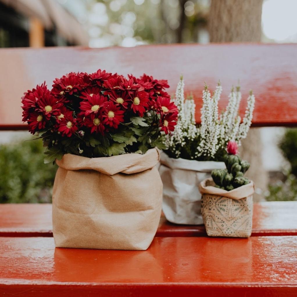 Small Paper Bag