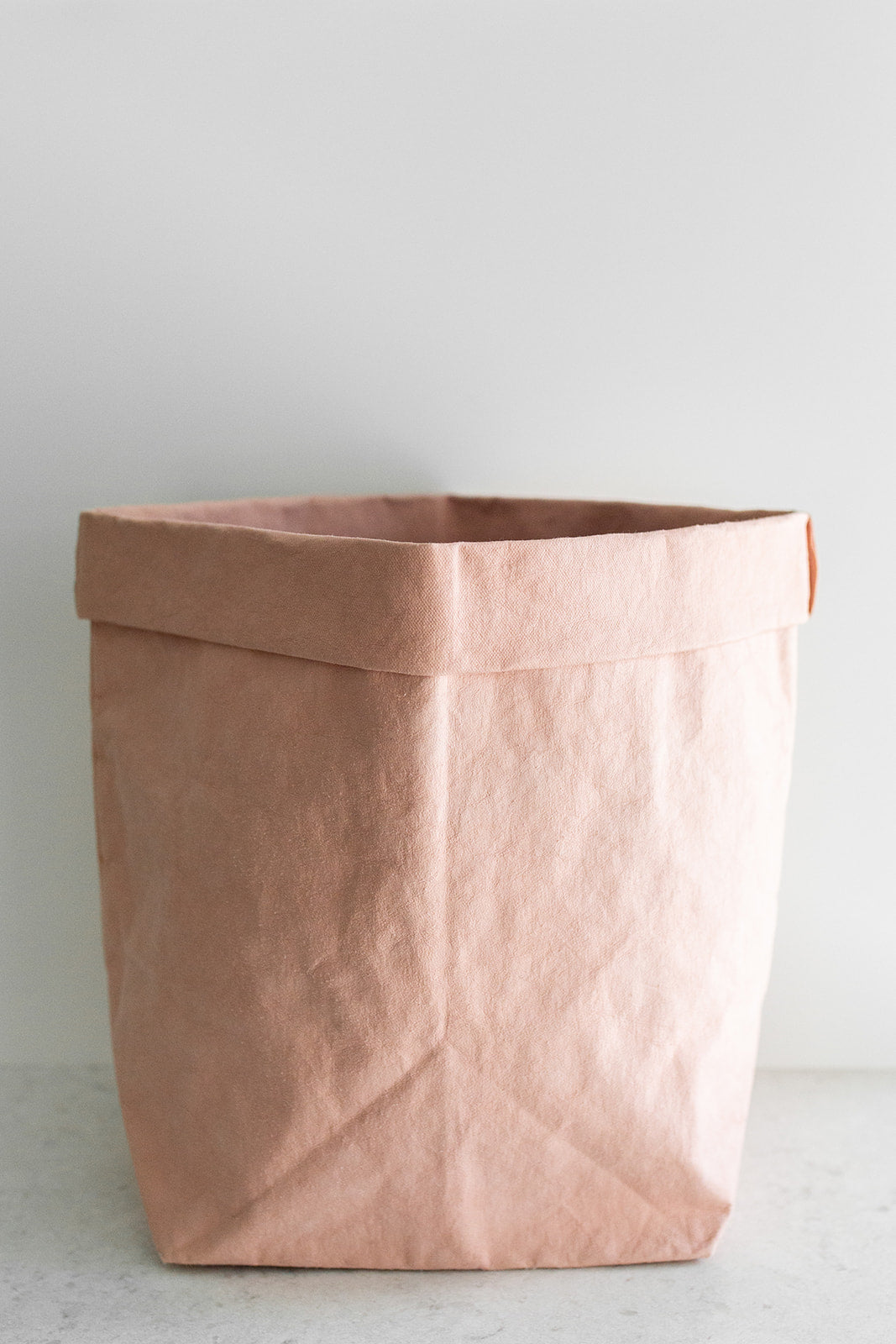 Large Paper Bag