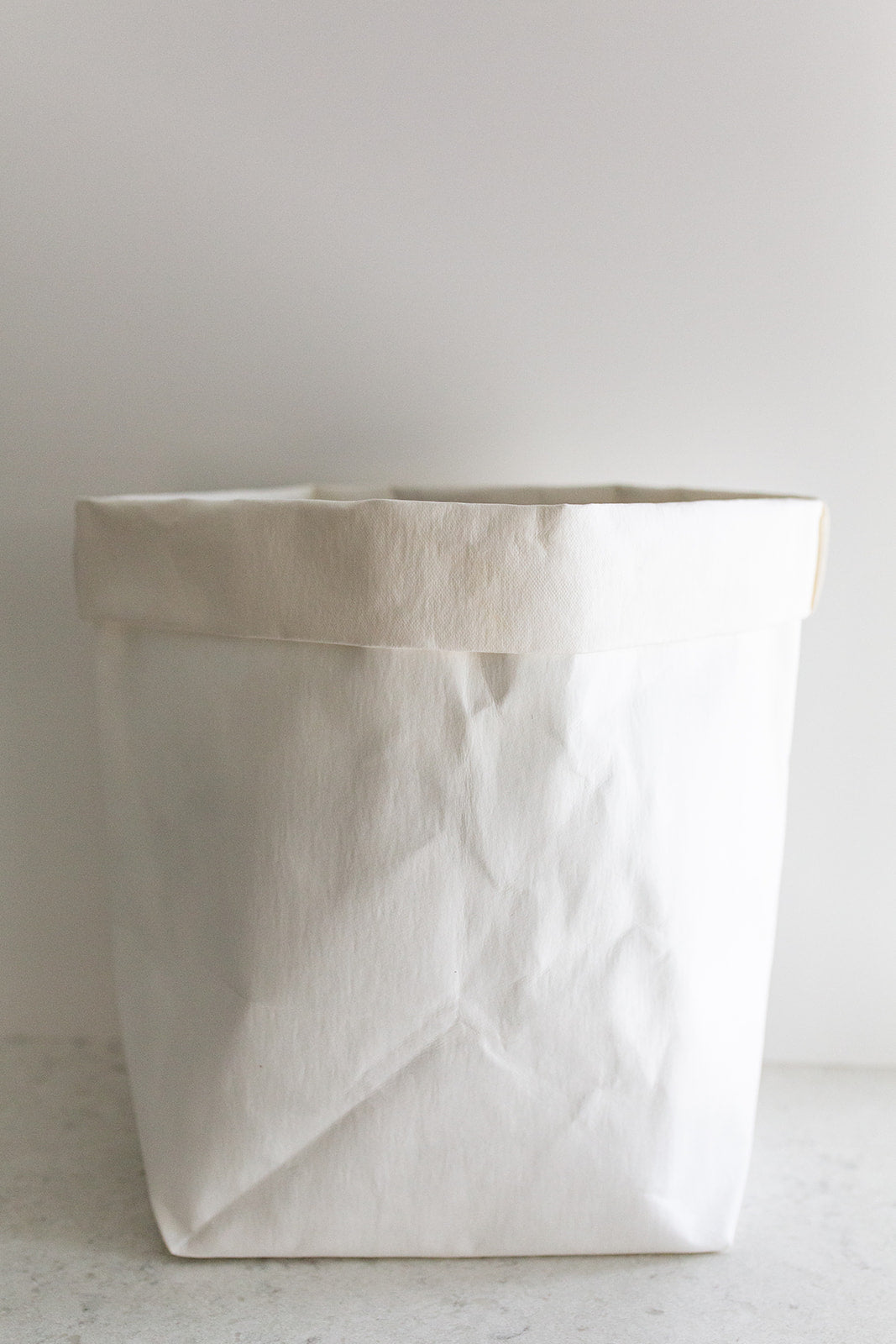 Large Paper Bag