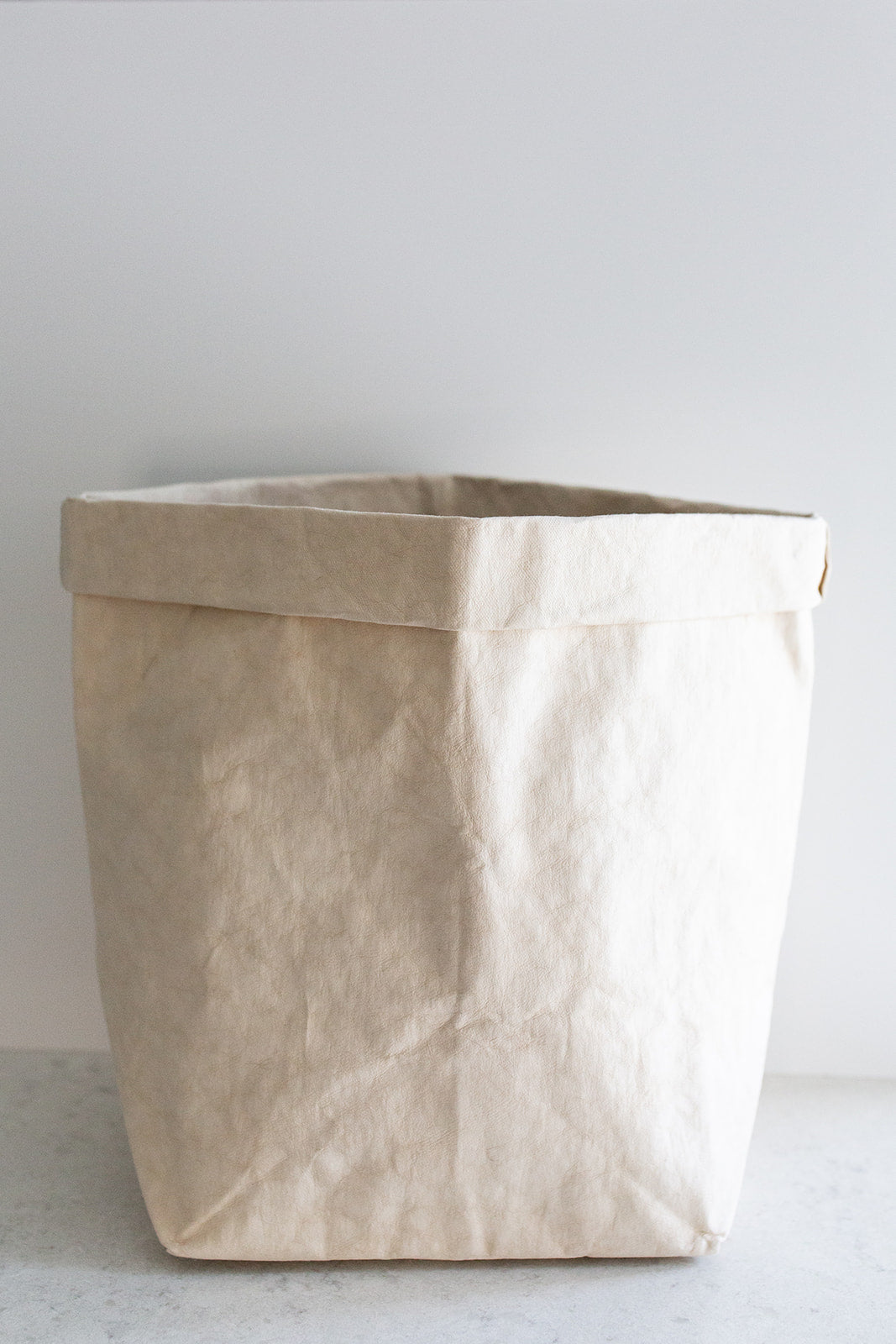 Large Paper Bag