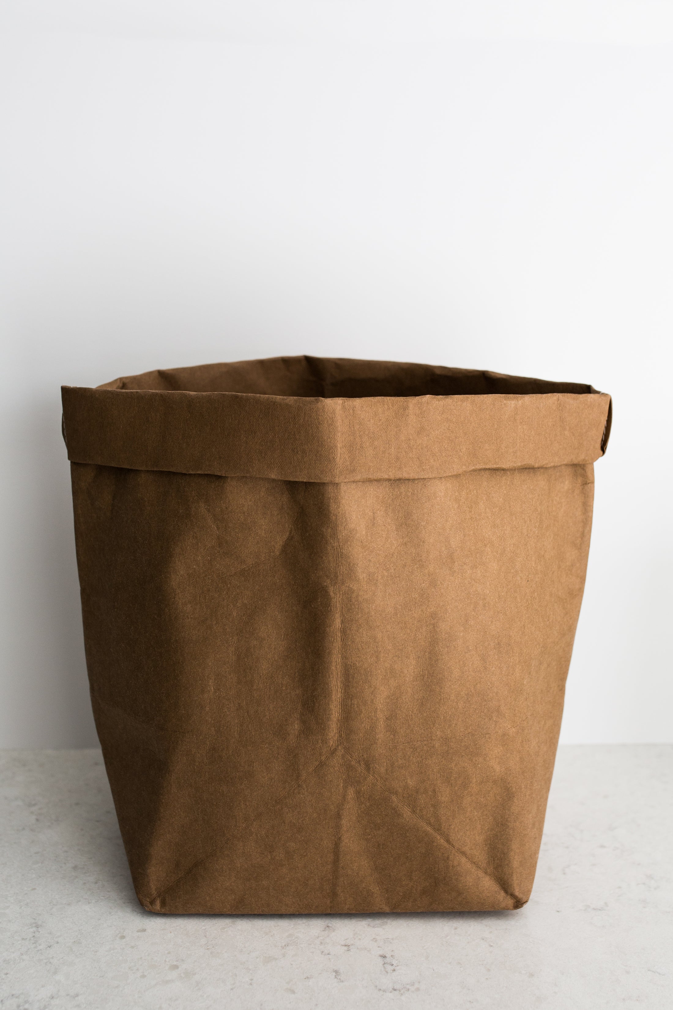 Large Paper Bag