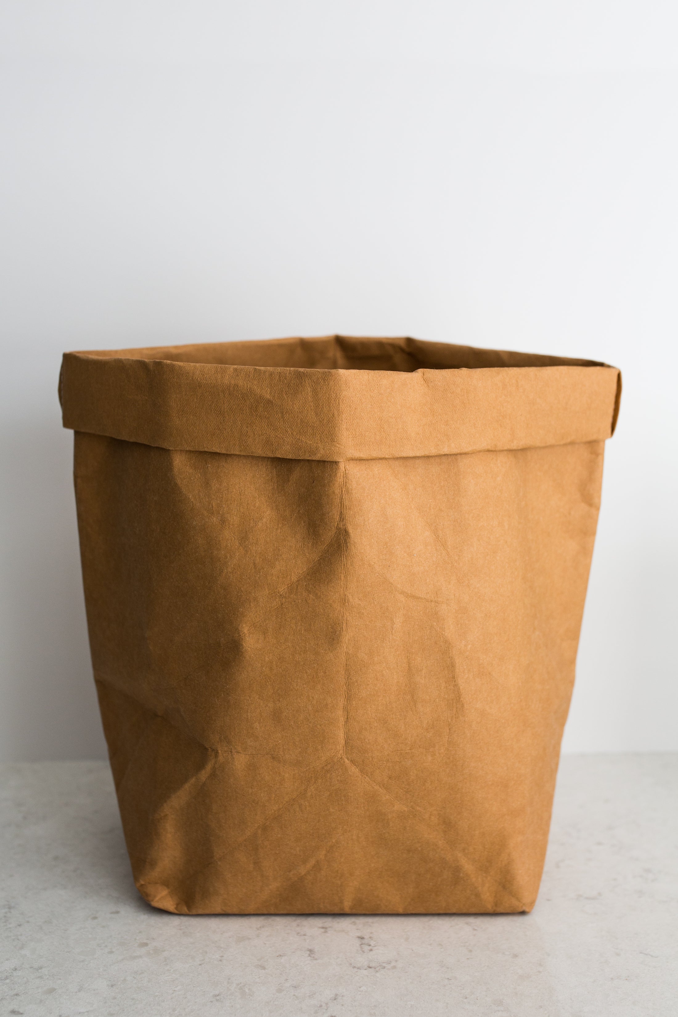 Large Paper Bag